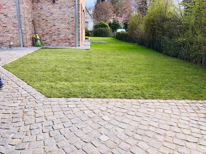 Gepflegte Rasenfläche mit Pflasterweg