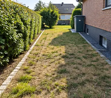 Rasenfläche vor der Erneuerung